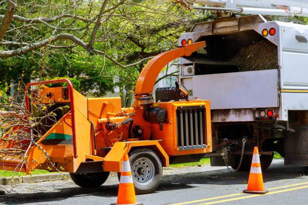 Best Arborist Consultation Services  in Mccaysville, GA